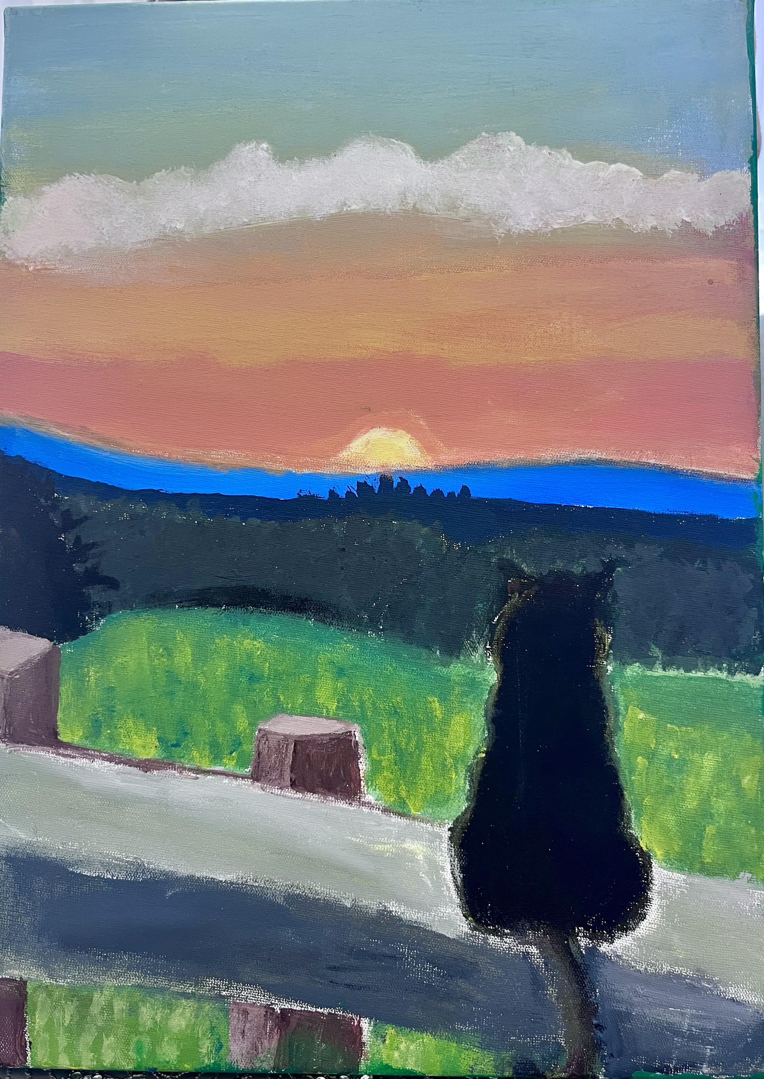 يىراقتىكى ئۆيىنى سېغىنغان مۈشۈك